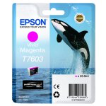 Epson Original C13T76034010 T7603 Tintenpatrone magenta...