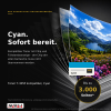 4er Sparset Toner kompatibel für Toshiba T-305P – e-STUDIO 305CP 305CS 306CS (1x Schwarz, Cyan, Magenta, Gelb)